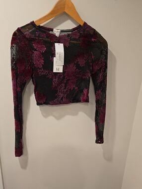 Sheer And Velvet Crop Top
